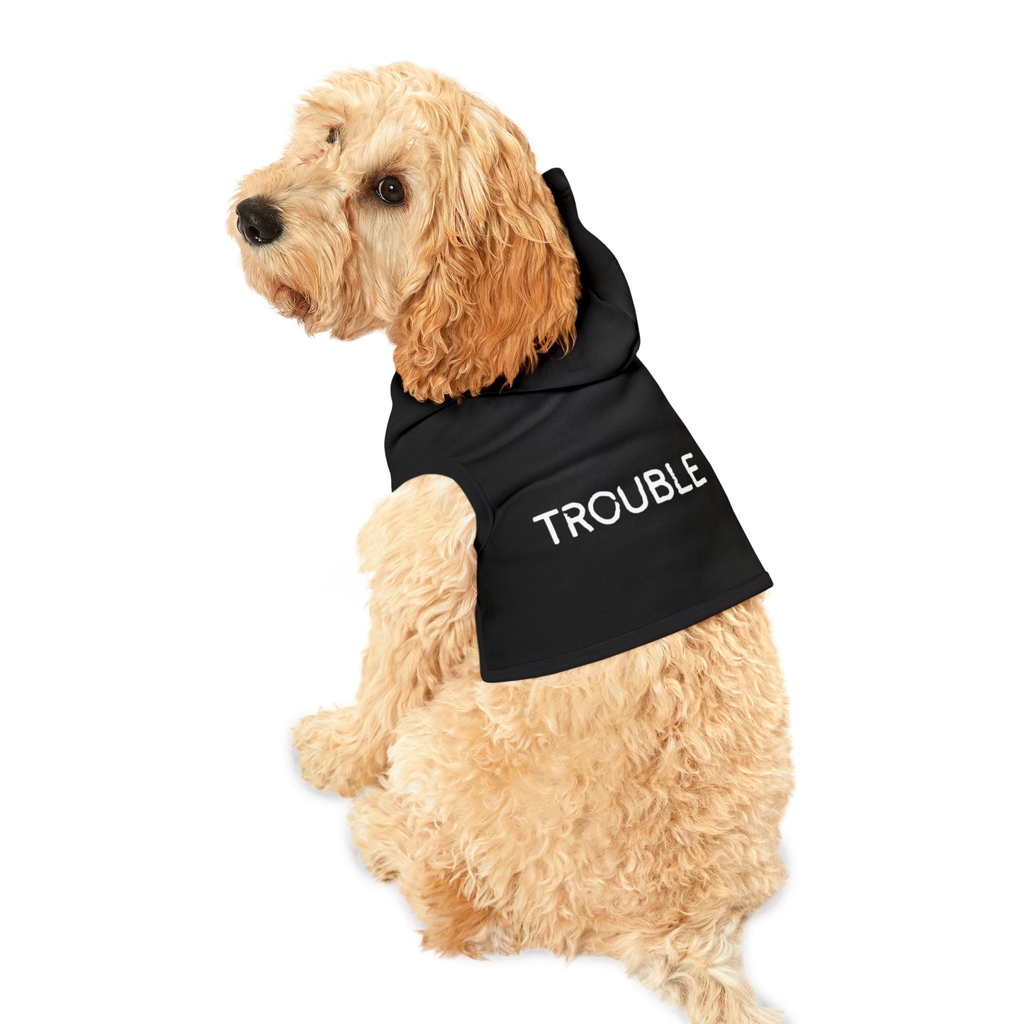 Trouble Pet Hoodie