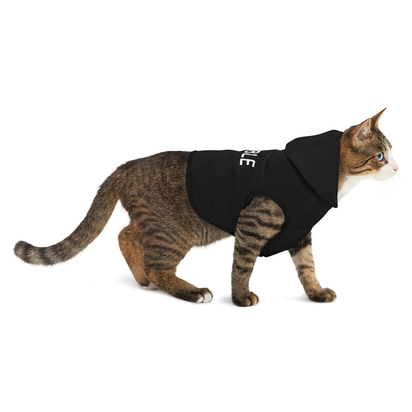 Trouble Pet Hoodie