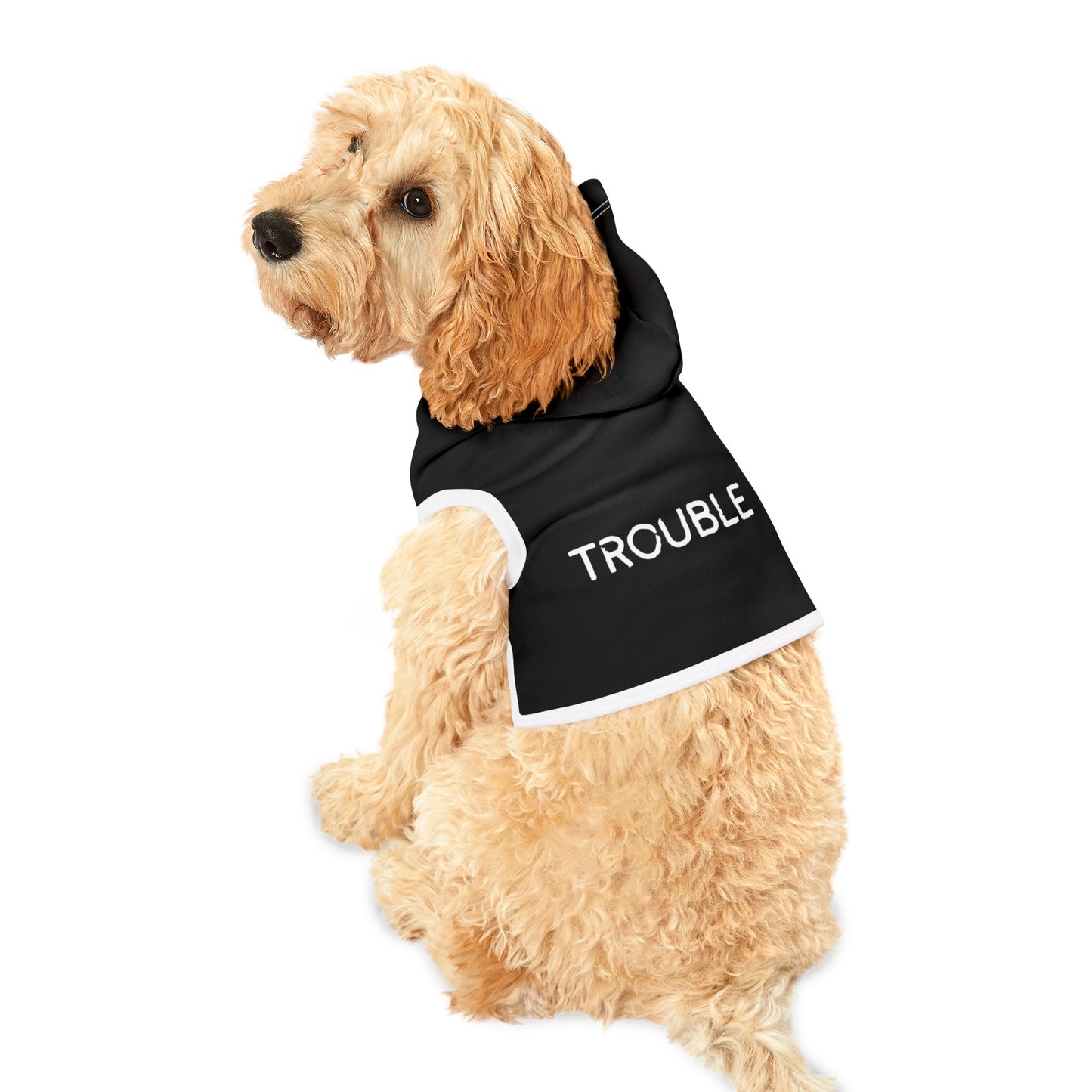 Trouble Pet Hoodie